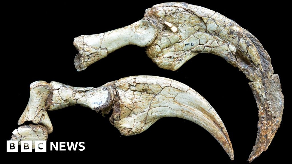 Two-clawed dinosaur species discovered in Gobi Desert