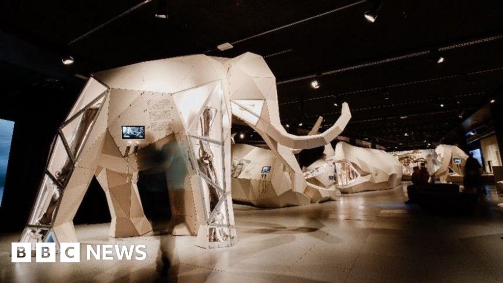 Birmingham prehistoric giants exhibition set for summer opening