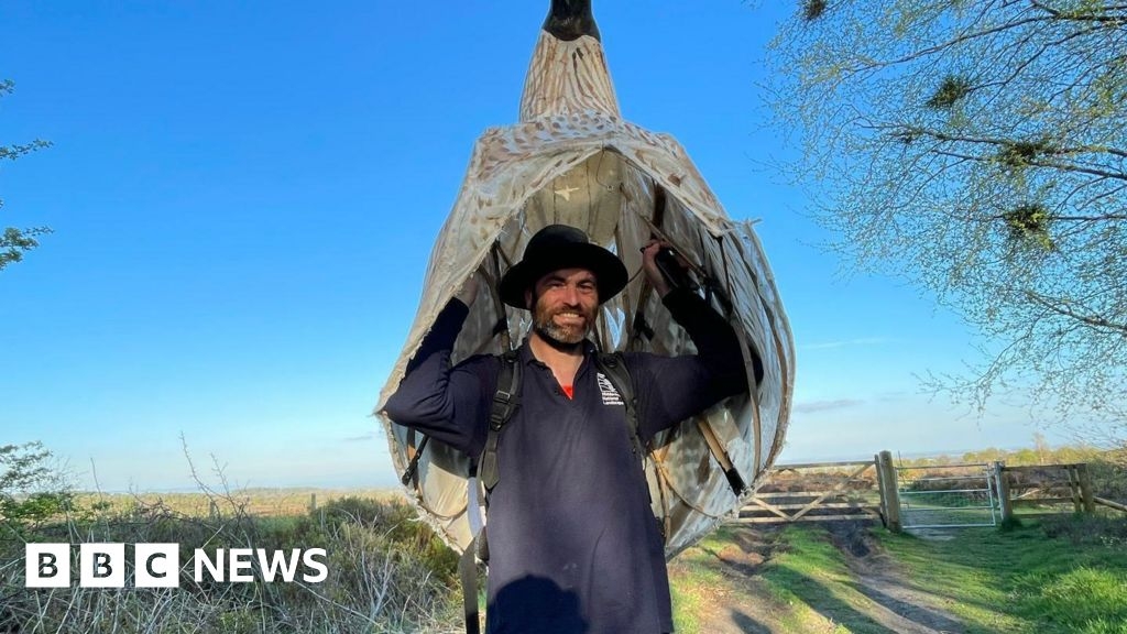 Curlew man Matt Trevelyan on why he walked 53 miles dressed as a giant bird