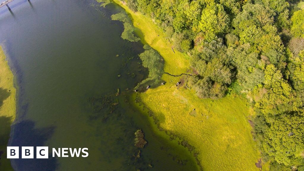 South West project to predict algal blooms wins funding award