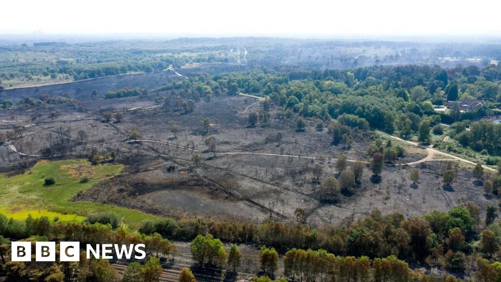 Surrey wildfire warning to public amid 'heightened risk'