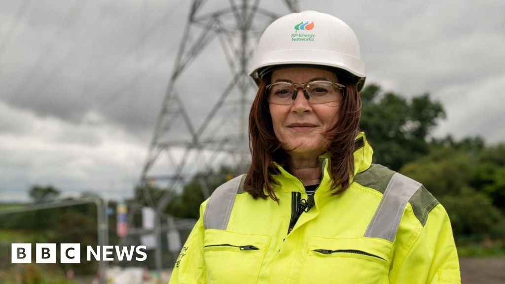 More electricity pylons 'crucial' despite cost to bill payers