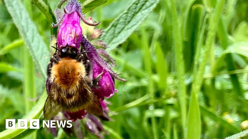Forest Garden in Devon gives insight into climate change