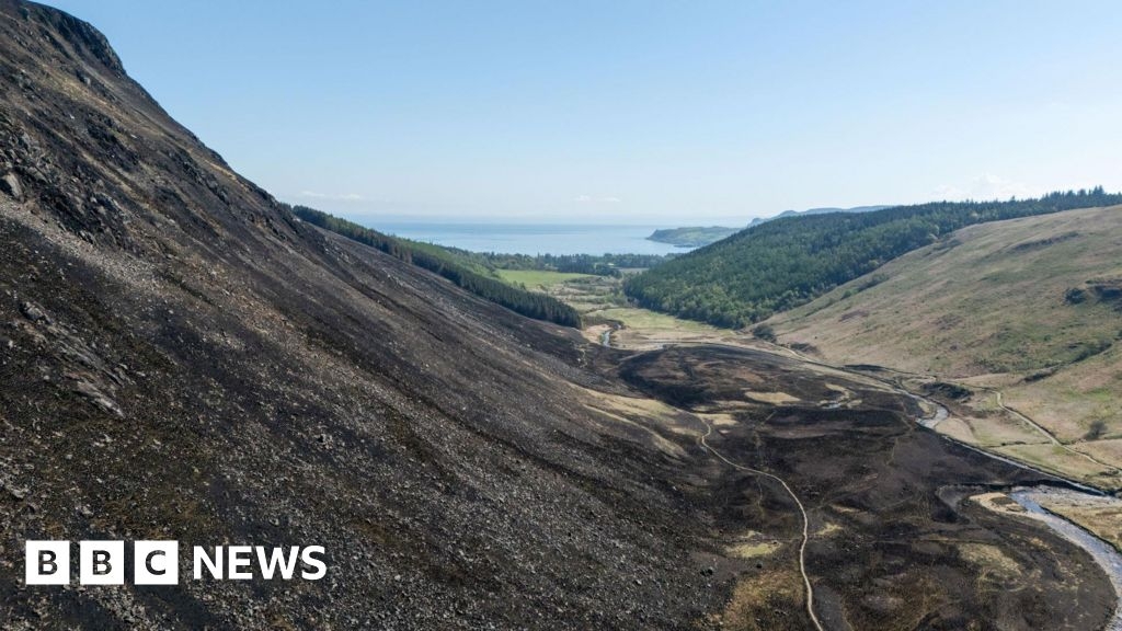 'Arran wildfire sent 10 years of work up in flames'
