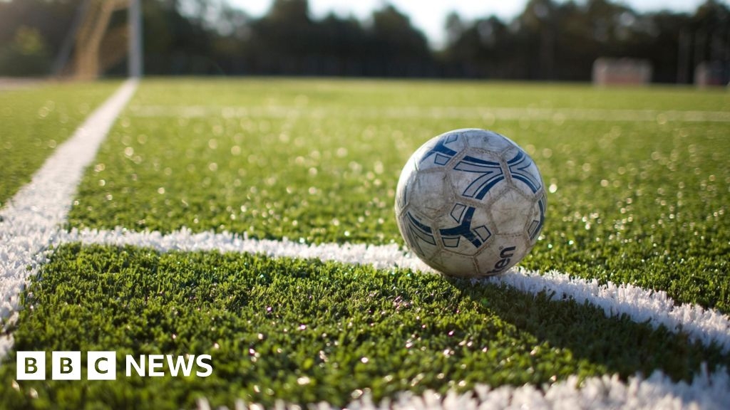 Winchester couple awarded damages after footballs land in garden