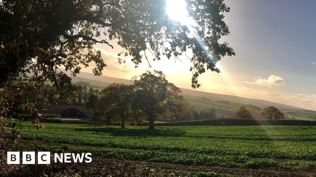 Somerset in Pictures: Spring scenes, sporting success and sheep