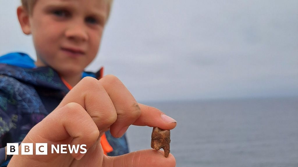 Boy's tooth find reveals bronze age burial mound on Lizard Point