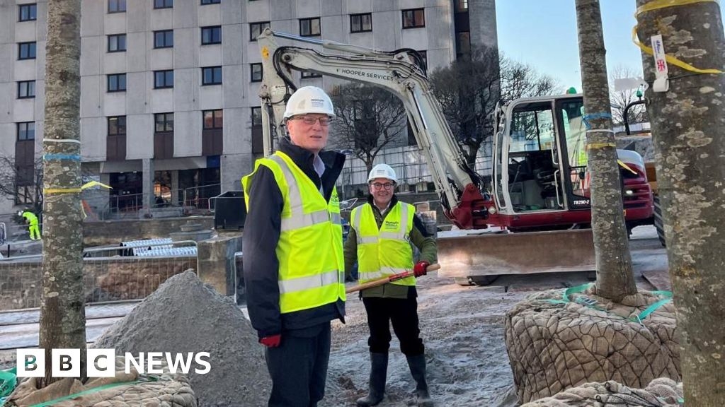 First trees planted in Plymouth city centre after felling