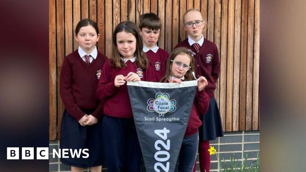 English-medium schools 'distraught' at Irish language scheme axe