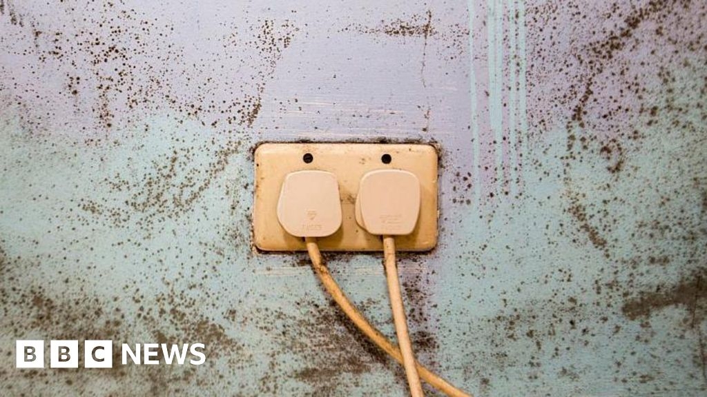 Scheme finds 6,500 hazards in Peterborough rented homes