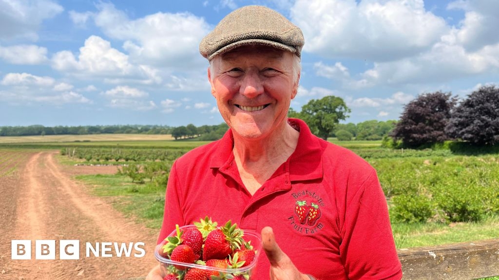 Shropshire pick-your-own fruit farm's earliest season in 50 years