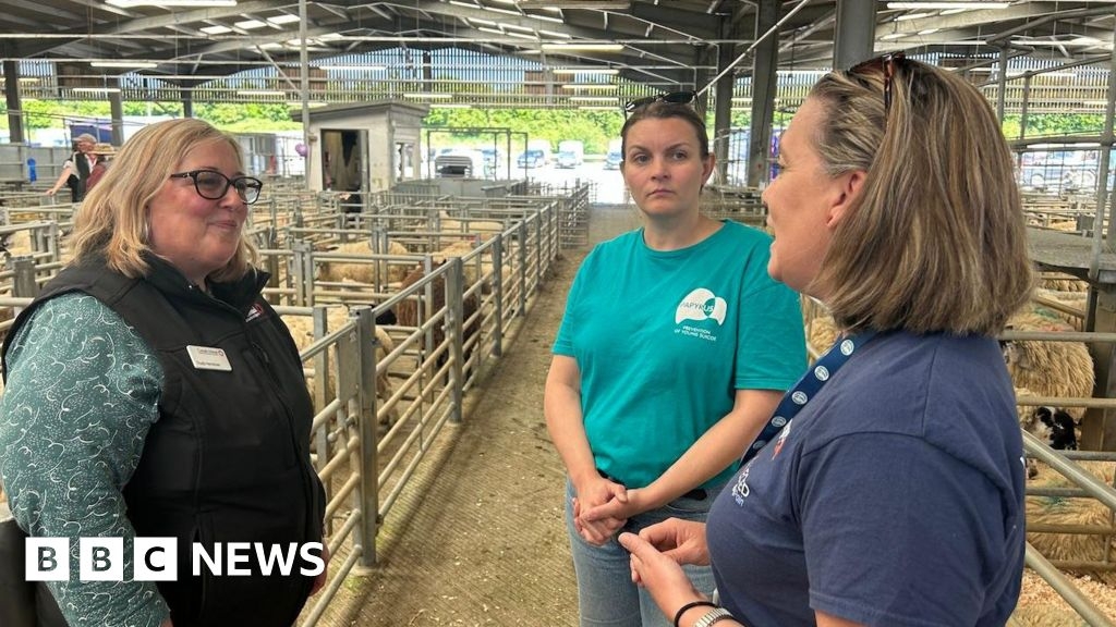 Survey looks at women's mental health in farming