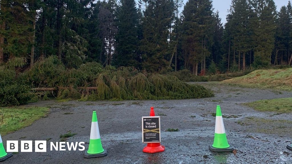 Kielder Forest paths and trails closed again after Storm Éowyn damage
