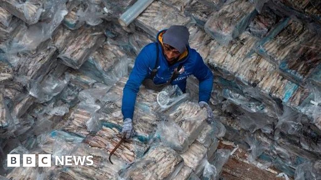 Falklands surprised to be on Trump's 'worst offenders' tariff list