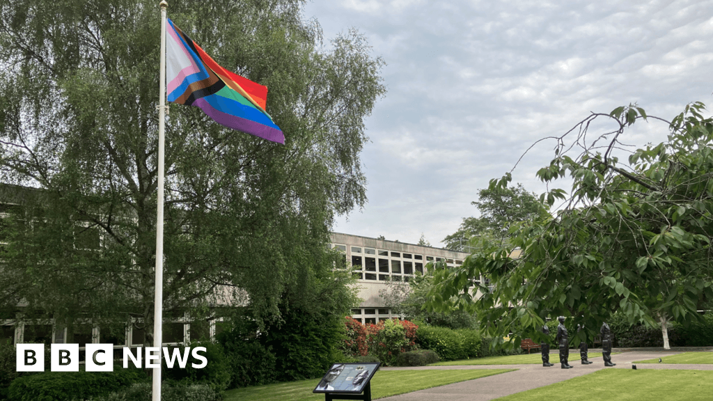 Row over Reform council's new 'British values' flag rules