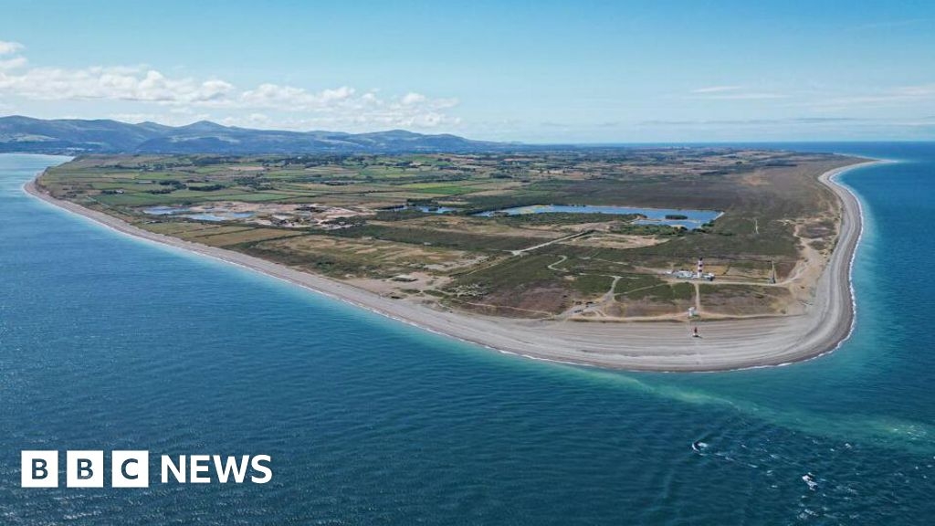 Isle of Man beach cleans to protect birds ahead of nesting season