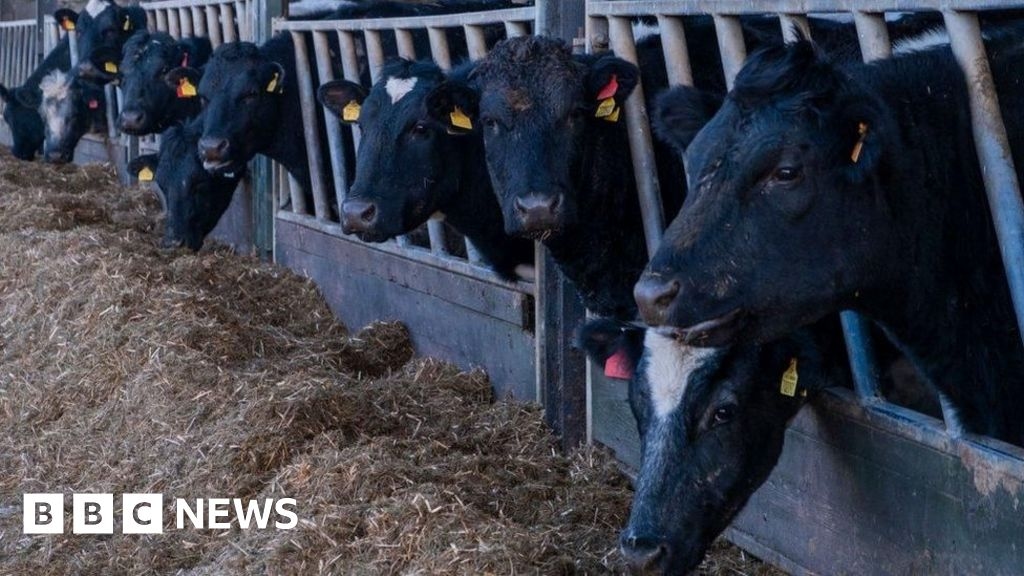 Climate change: Welsh meat promoter HCC criticised over comments
