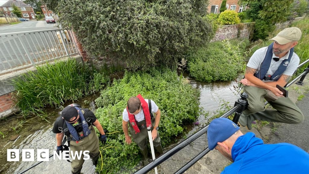 Fish rescued in Driffield as river levels drop due to drought