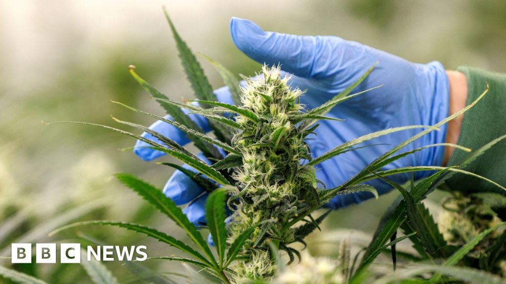 Jersey States panel backs cannabis farm noise and smell complaint