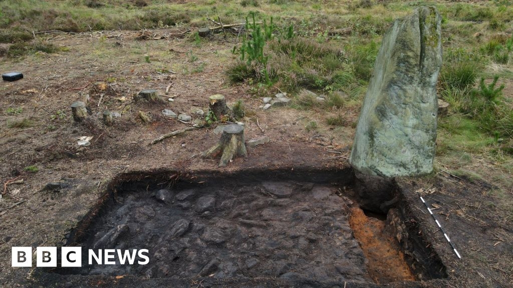 'Bronze Age stone will not stop holiday park plans in Farley Wood'