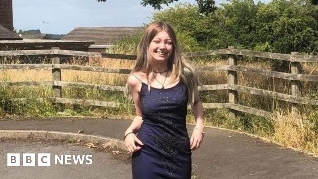 Dog in fatal Bristol attack confirmed as XL Bully breed