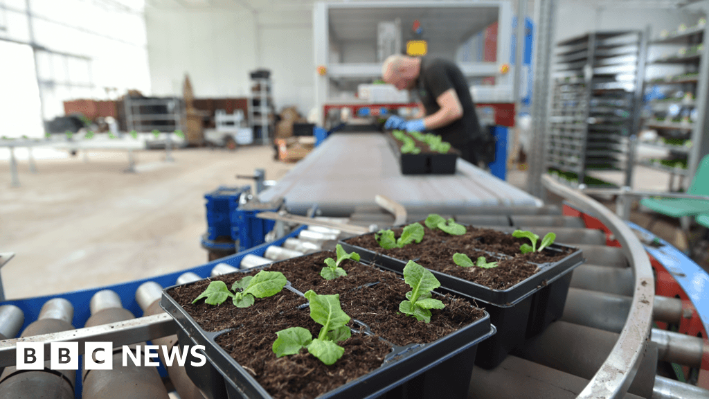 Potting robot helps bring Leeds into spring bloom