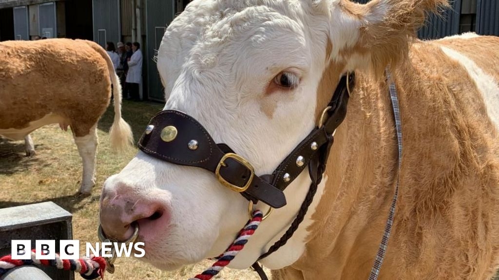 Royal Norfolk Show will see 'strongest year since Covid'