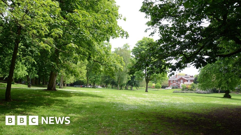 Newcastle-under-Lyme green spaces may be protected forever
