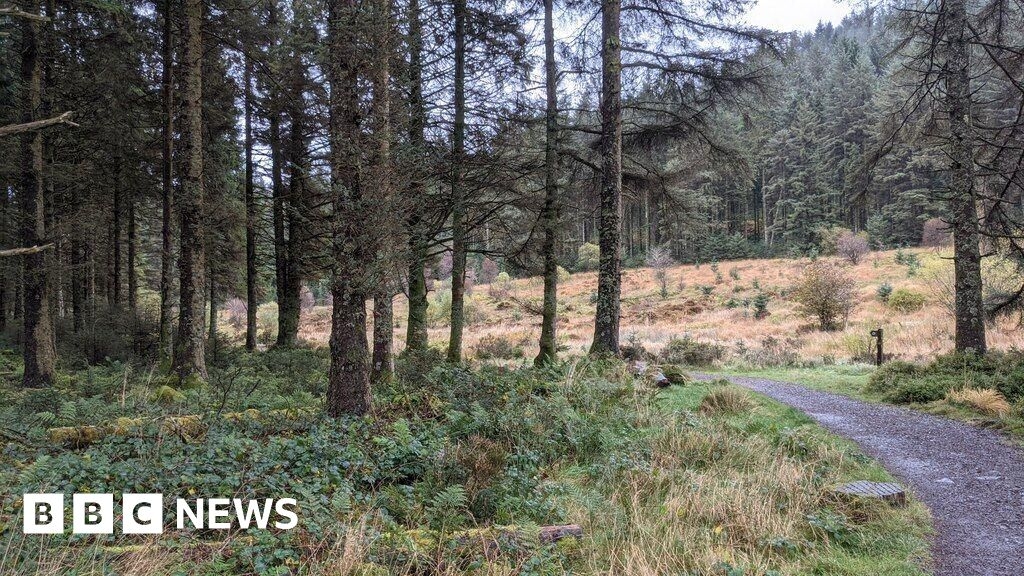 TikTok visitor surge prompts Hafren Forest litter concerns