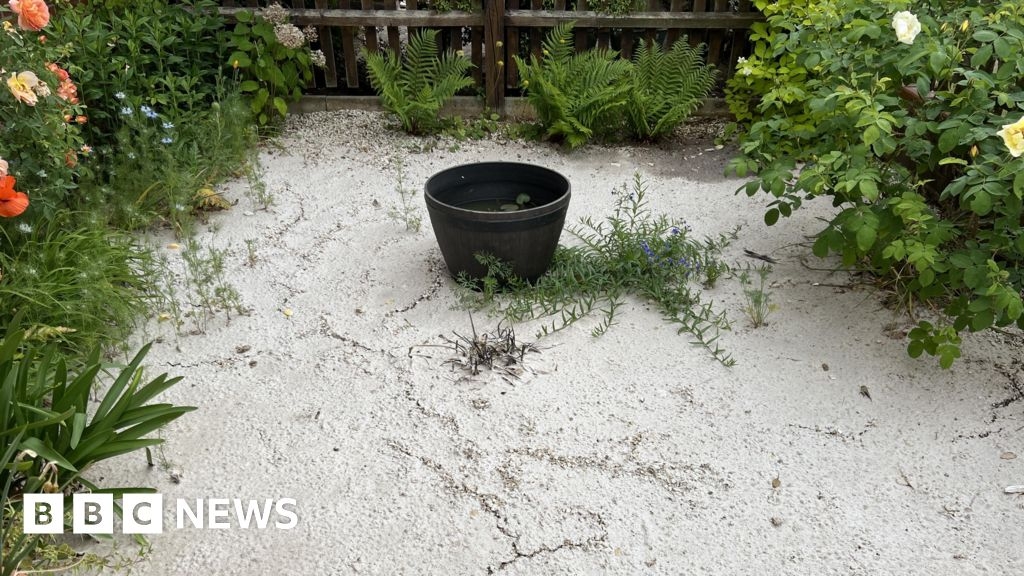 Sewage spill leaves Sonning Common couple angry and out of pocket