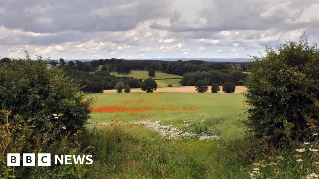 Hedges capture more carbon than grassland - University of Leeds study