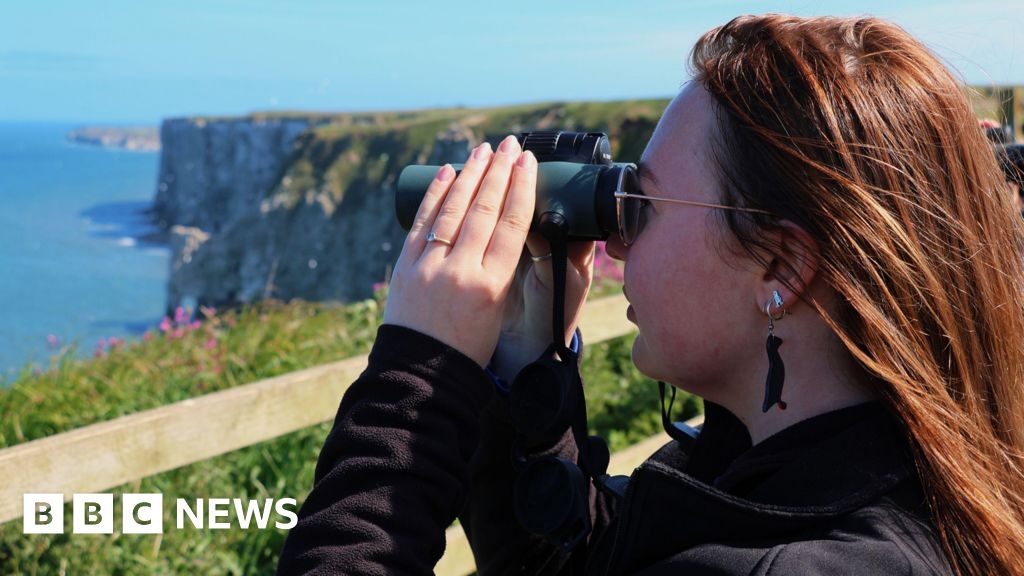 RSPB Bempton Cliffs becomes first Shorewatch site in England