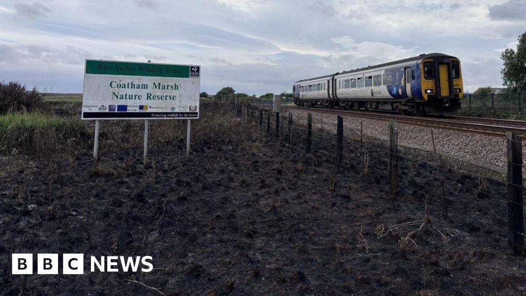 Redcar nature reserve 'devastated' by large fire