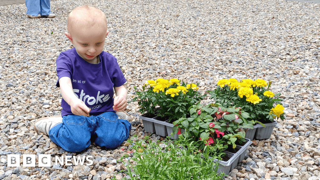 Londonderry: Recovery garden opens for Altnagelvin stroke patients