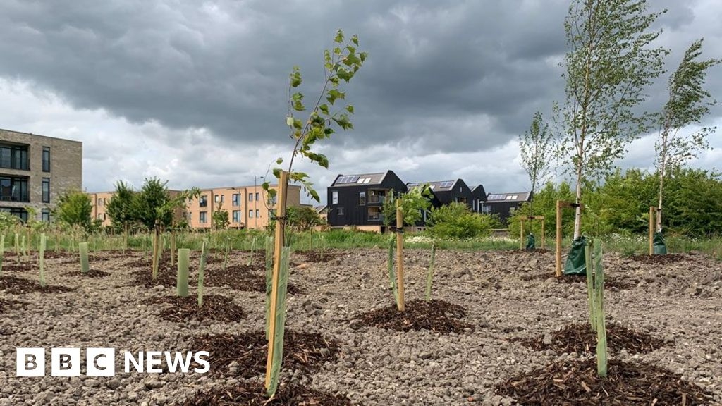 Cambridge South station project expands at nature reserve