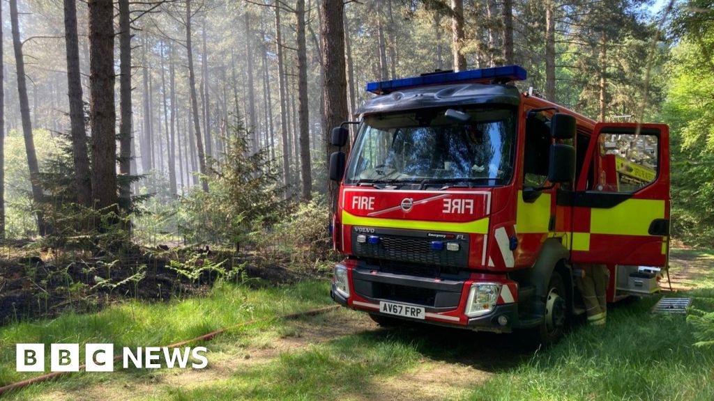 Crews return to Barton Mills forest fire after it reignites