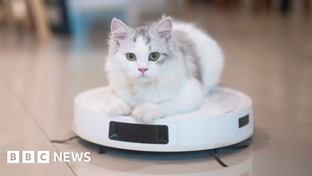 Robot vacuum cleaner 'could water plants or play with cat'