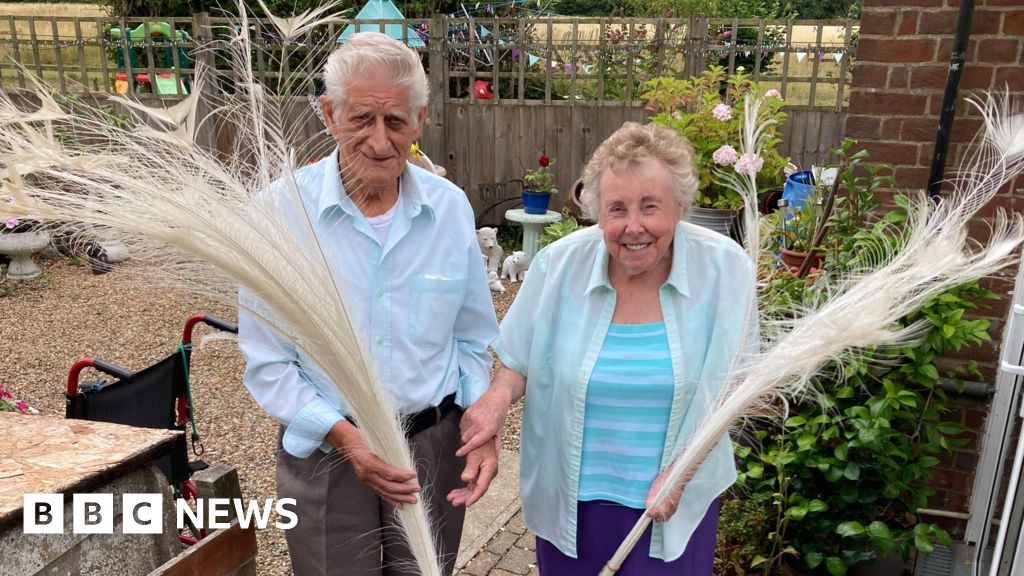 Luton couple with white peacock in garden desperate to find owner