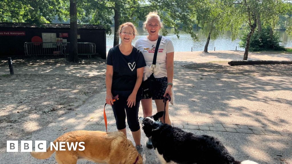 Walkers give views on dog lead rules at Crawley park