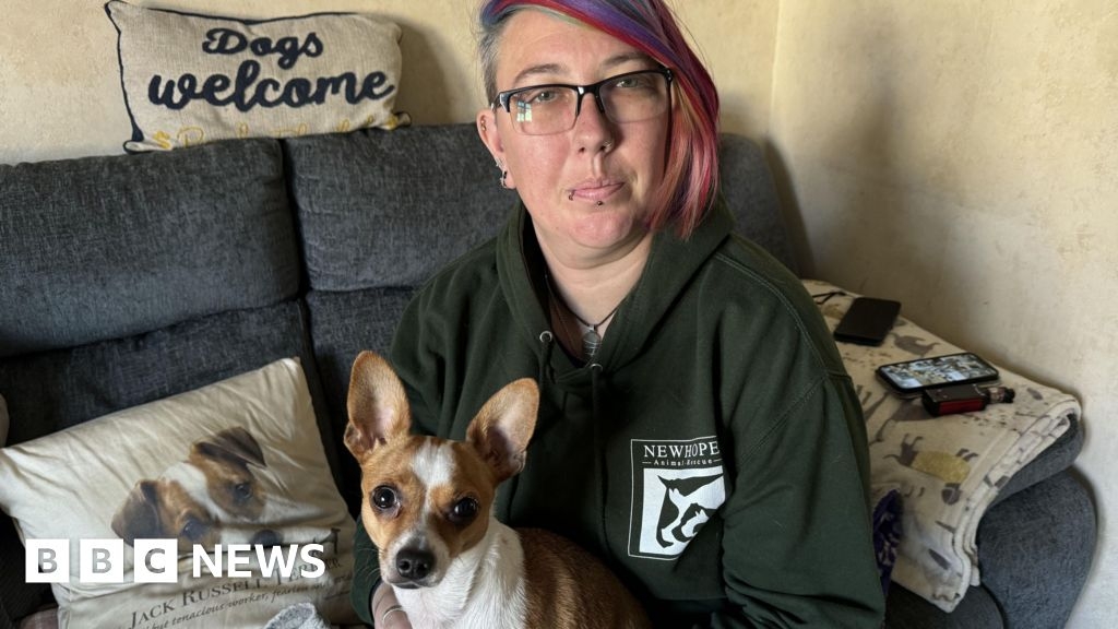 Kent rescue dog heading to Crufts as Hero Dog finalist