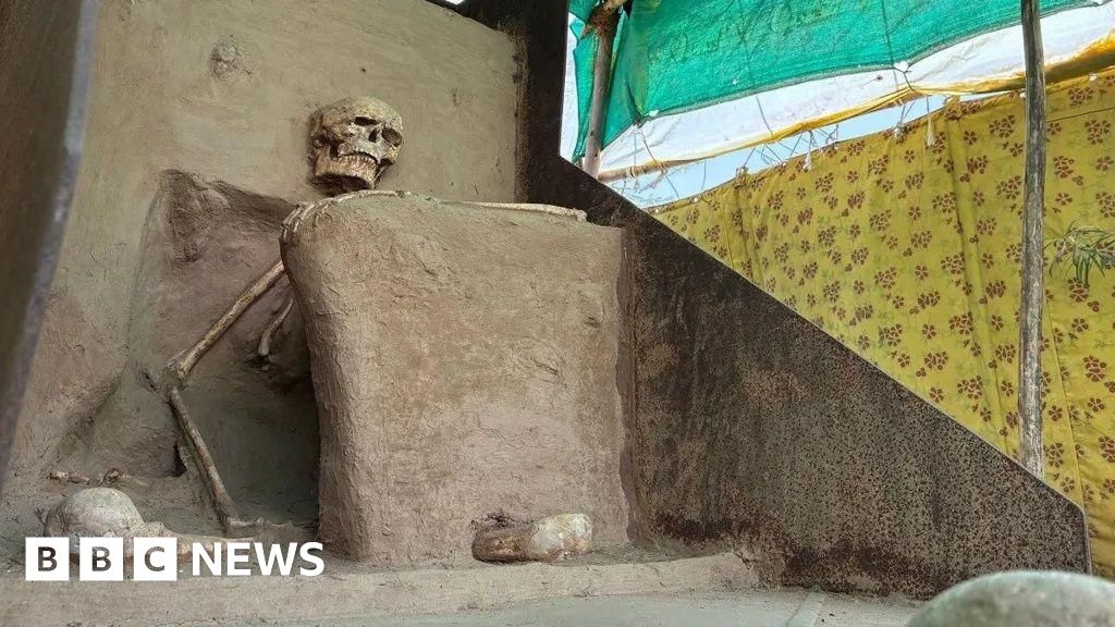Gujarat: Ancient Indian skeleton gets a museum home six years after excavation