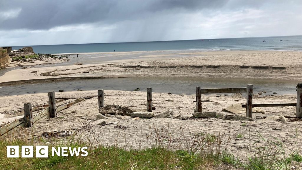 Cornish dead fish incident leads to no swim warning