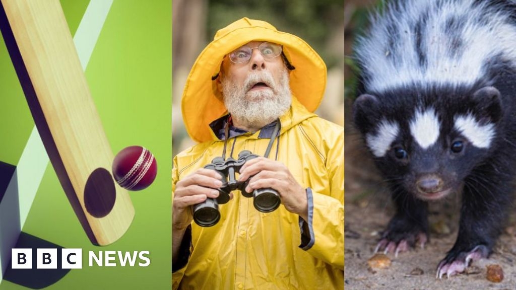 East of England news quiz of the week 7-13 June