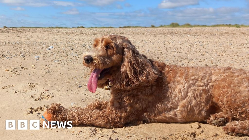 In pictures: Hot weekend for the East of England