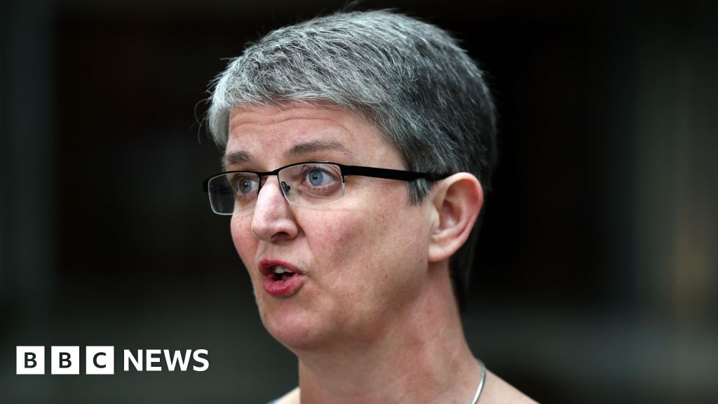 Lawyers criticise Maggie Chapman's comments on Supreme Court gender ruling