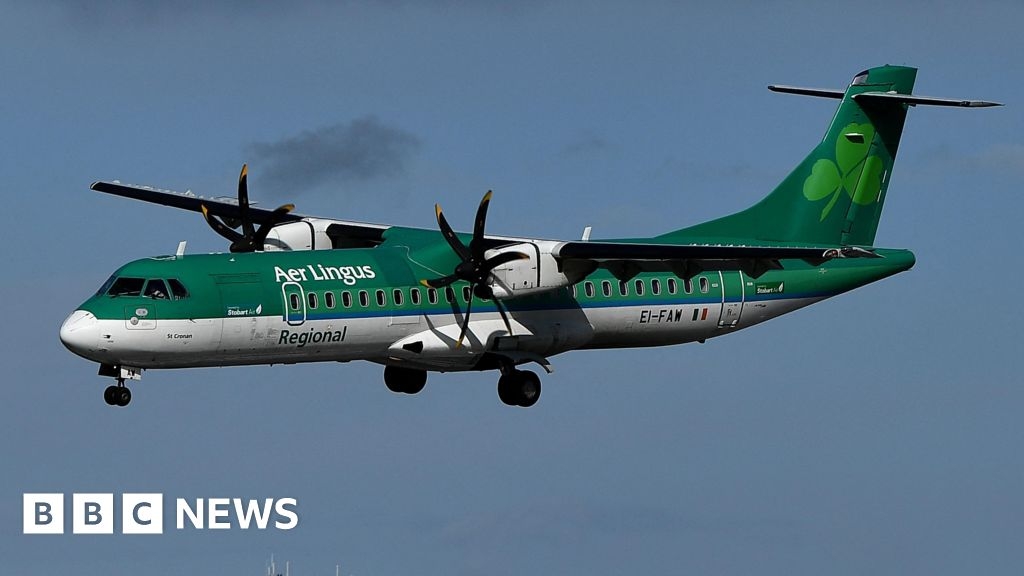 Aer Lingus regional flight forced to land at Belfast City airport