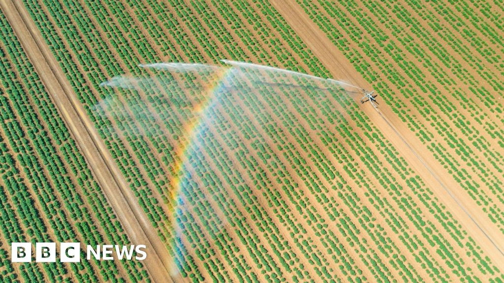 More than 150 farms in England caught illegally using local water