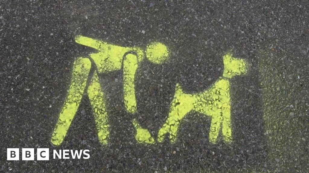 Liverpool dog fouling fines could rise to £100