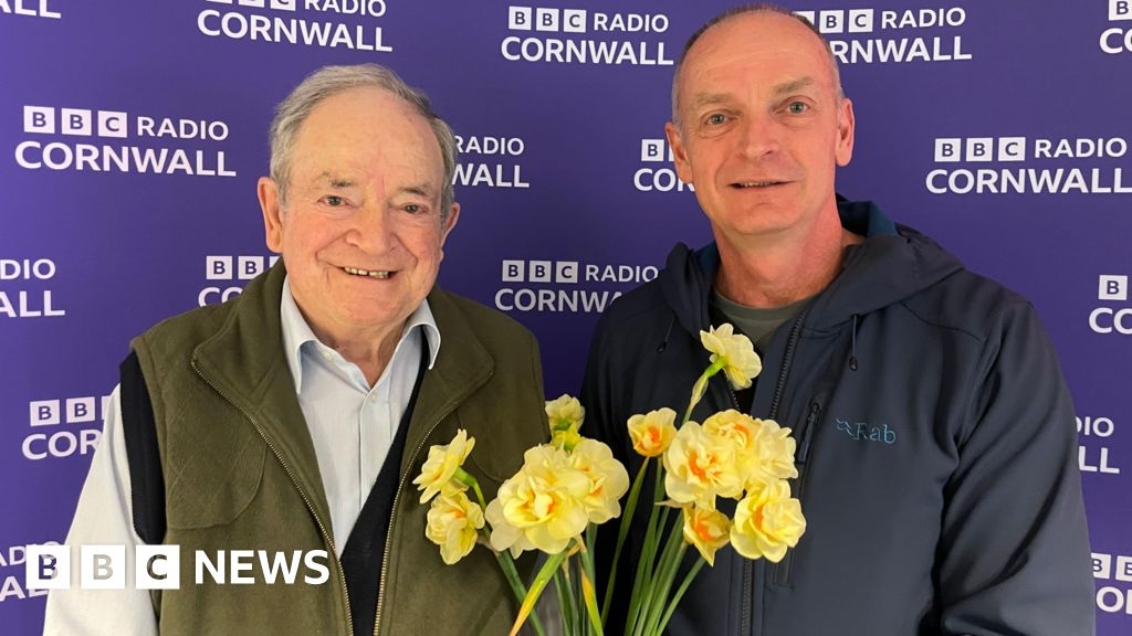 Falmouth daffodil grower wins Royal Horticultural Society award