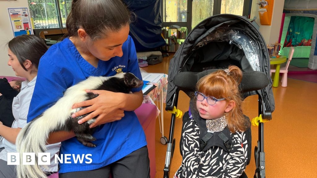 Stitch the skunk bringing joy to Coventry children's hospice